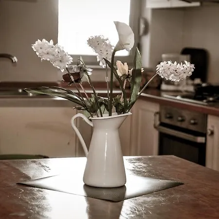 メアリー ティラナ